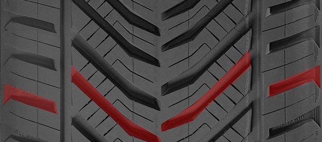 Tigar All Season (2)